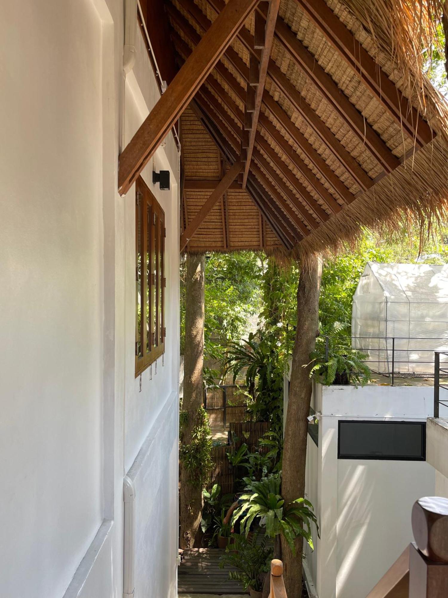 Big Tree Boutique Hotel Ko Tao Eksteriør bilde