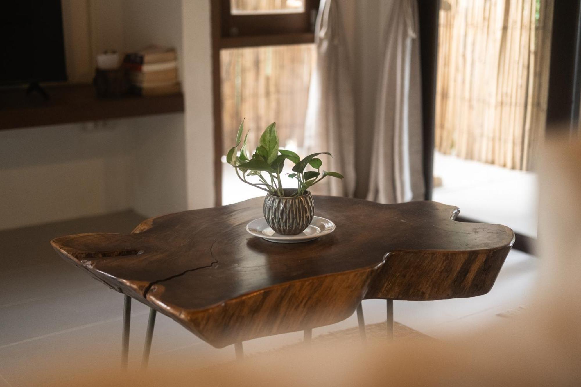 Big Tree Boutique Hotel Ko Tao Eksteriør bilde